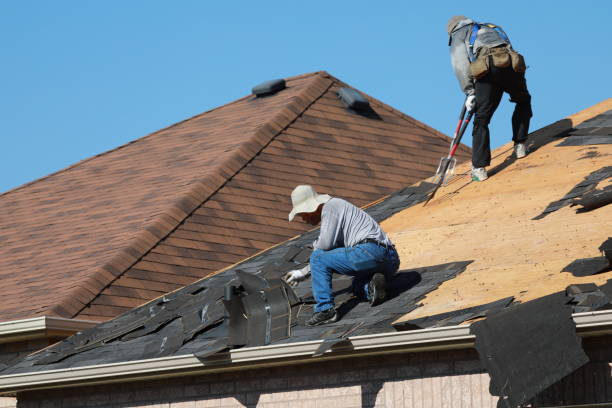 Best Roof Maintenance and Cleaning  in Albany, WI